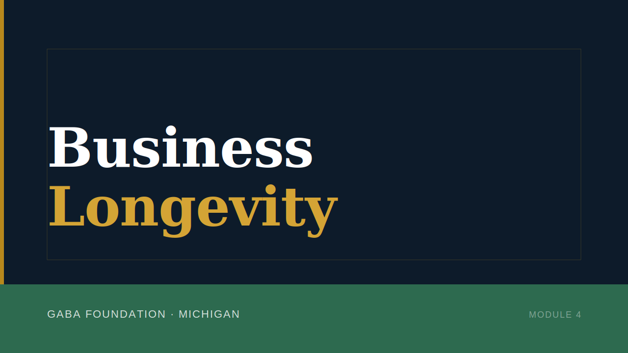 Product image for Business Longevity