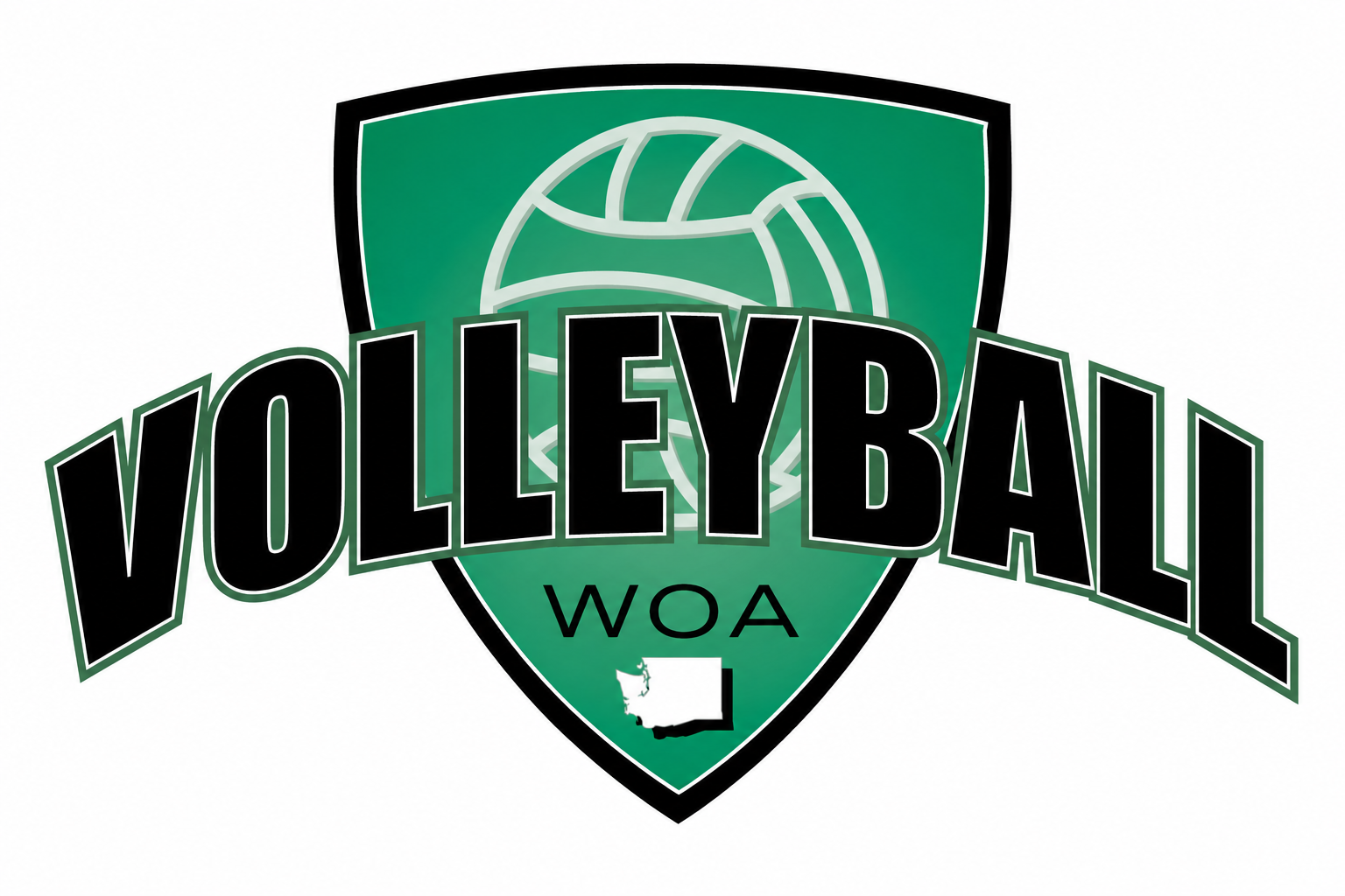 Product image for Volleyball