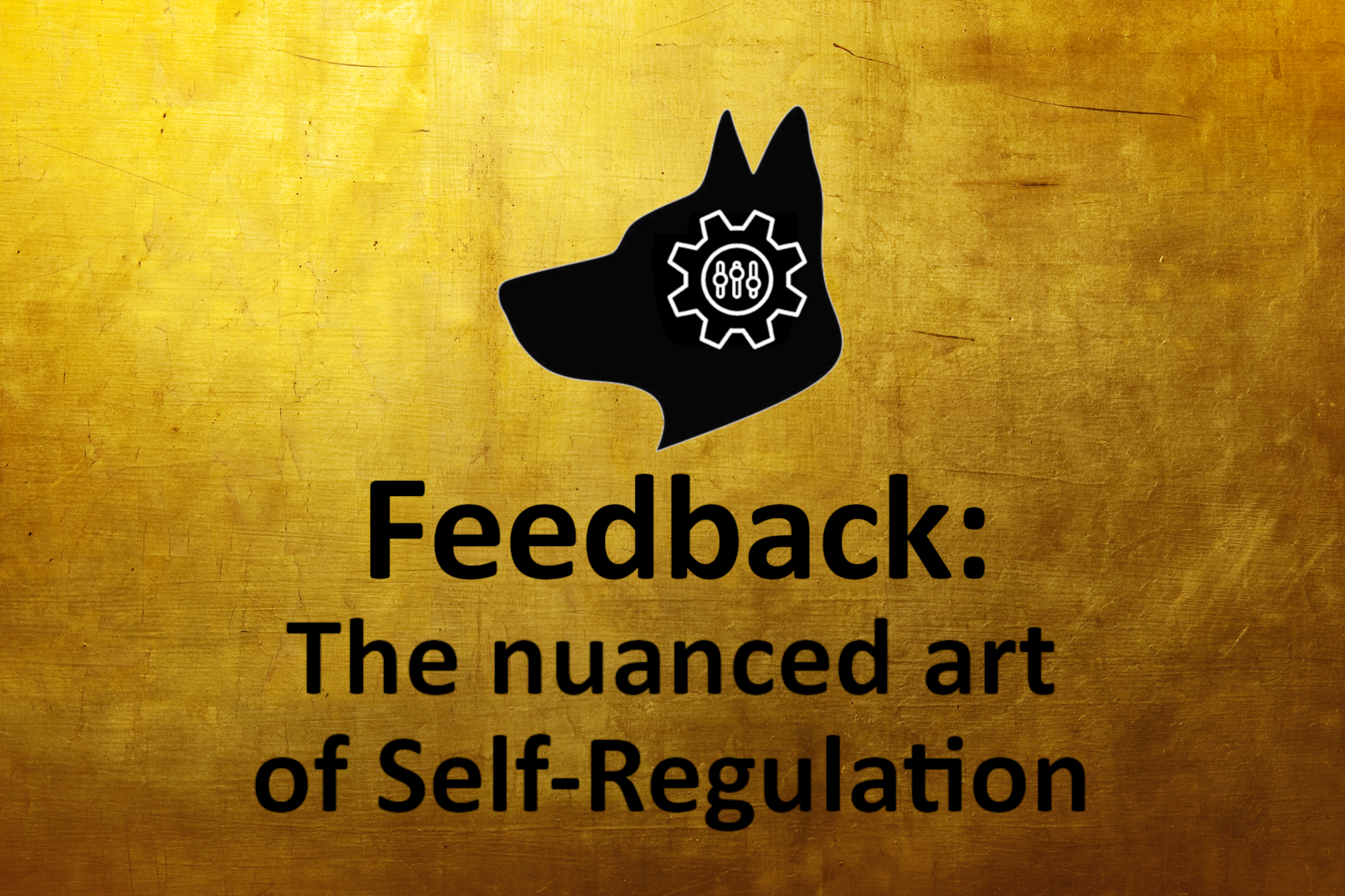 Product image for Feedback: The nuanced Art of Self-Regulation