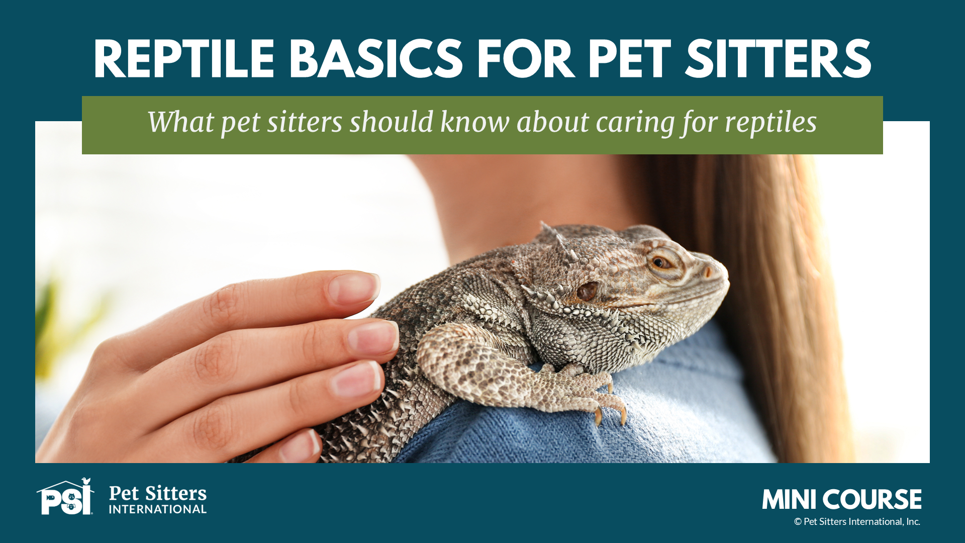 Product image for PSI Mini Course: Reptile Basics for Pet Sitters