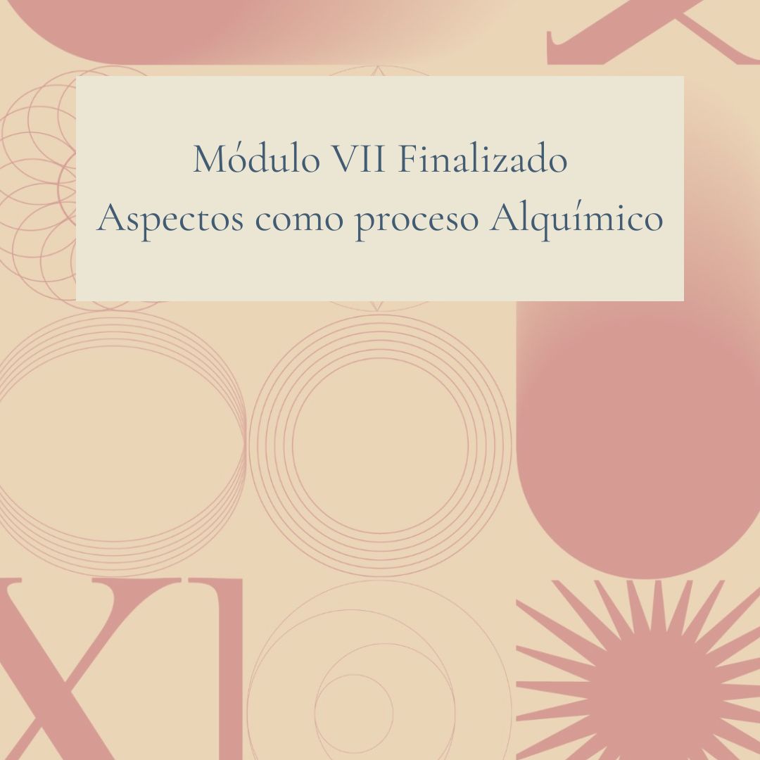 Product image for Módulo VII Finalizado - Aspectos como proceso alquímico