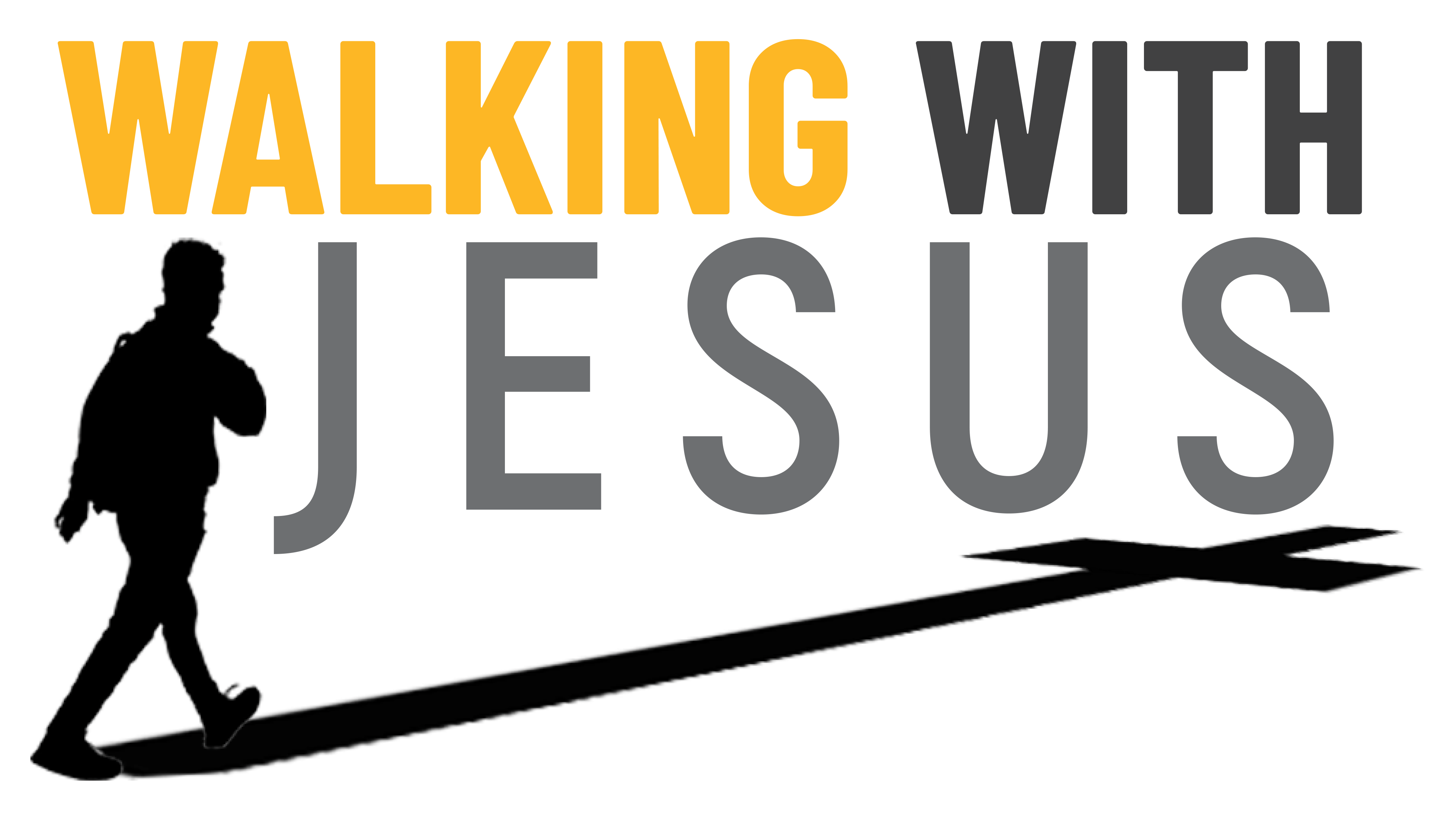 Product image for Walking With Jesus Bible Study Series - Volume 6
