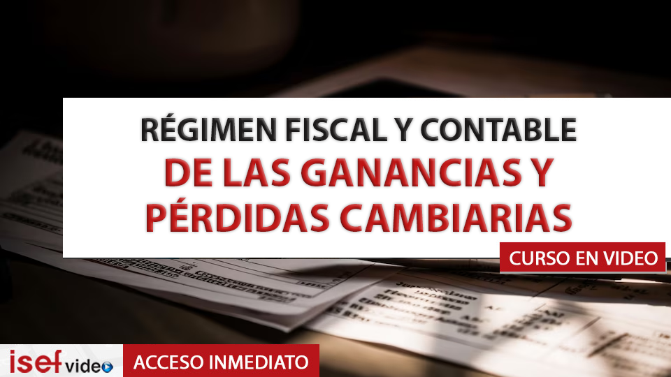 Imagen de producto para RÉGIMEN FISCAL Y CONTABLE DE LAS GANANCIAS Y PÉRDIDAS CAMBIARIAS