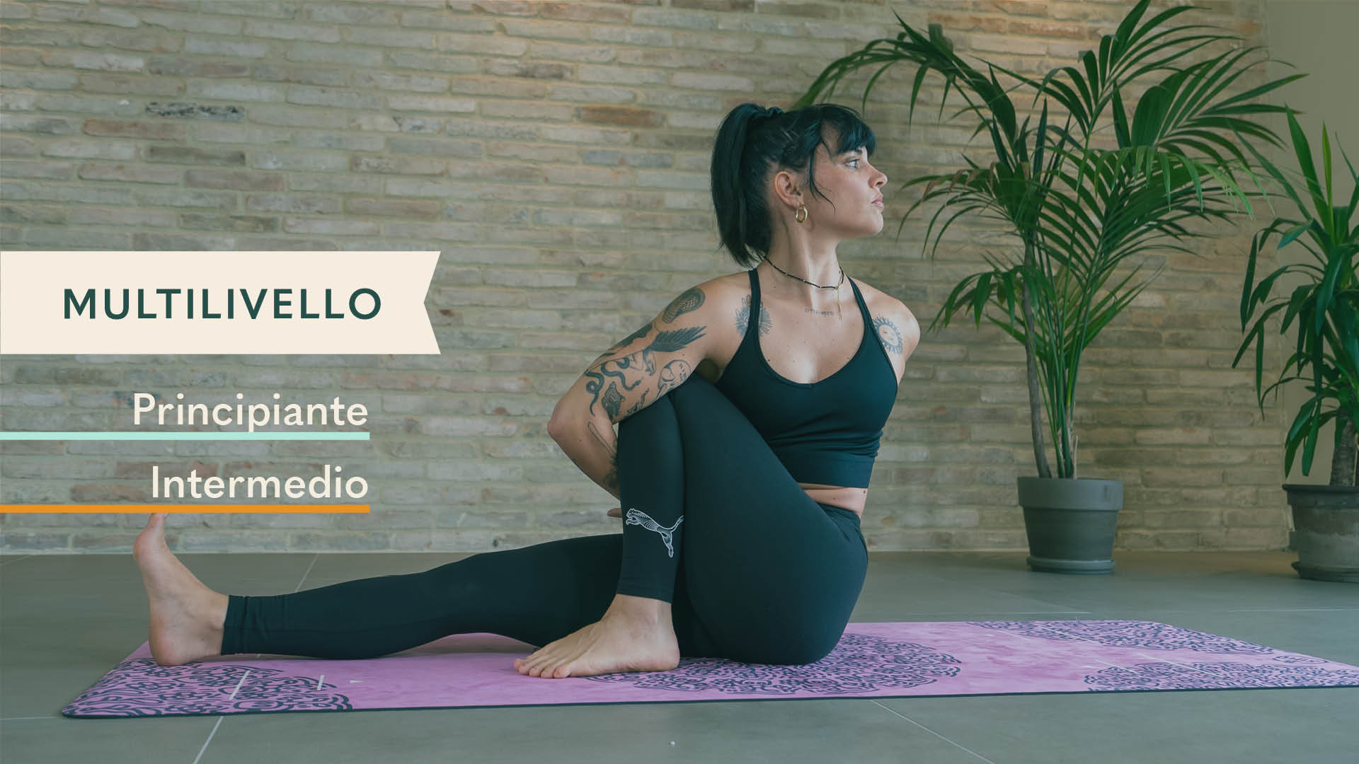 Immagine del prodotto per Ashtanga Yoga: Dai piedi alla testa