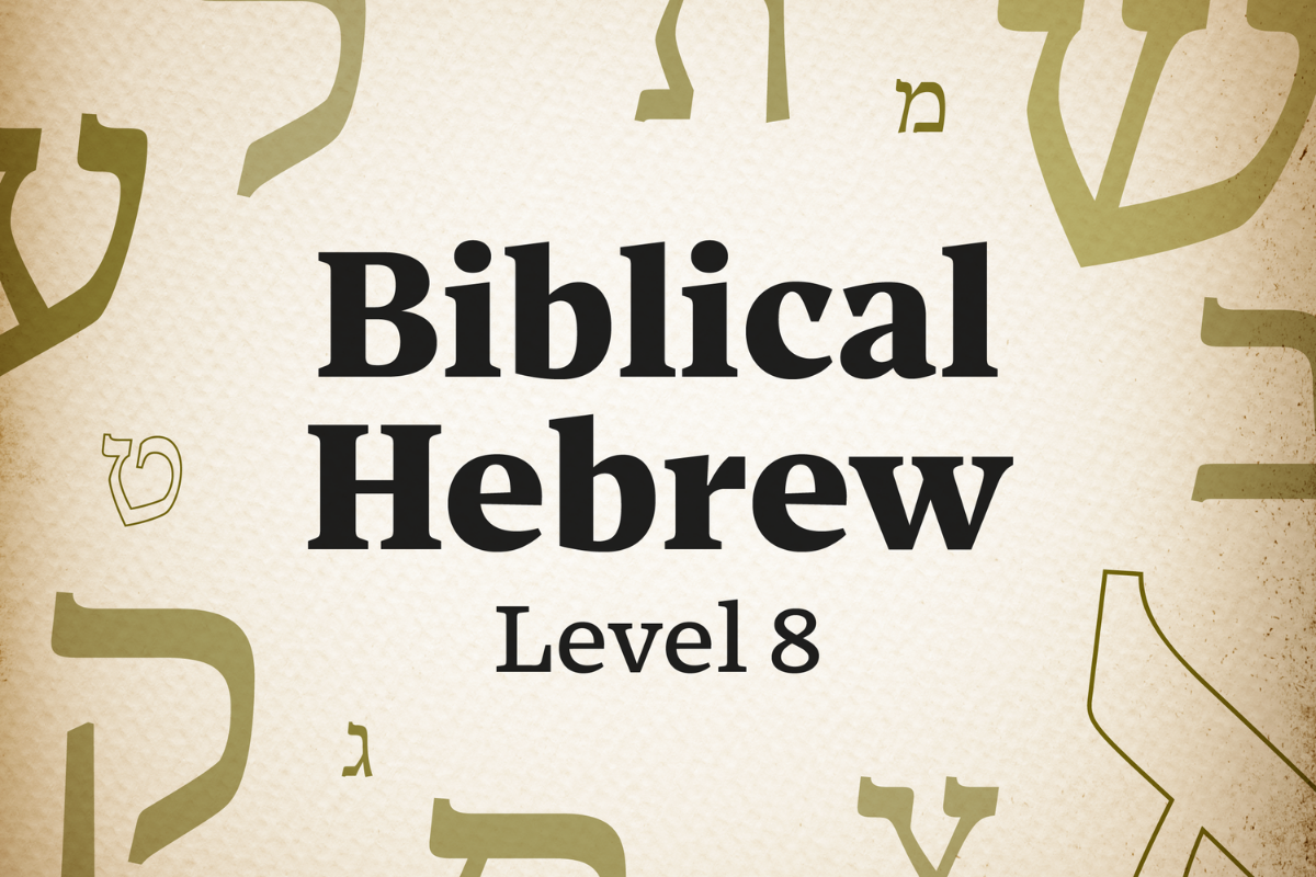 Product image for Biblical Hebrew Level 8 (2026)