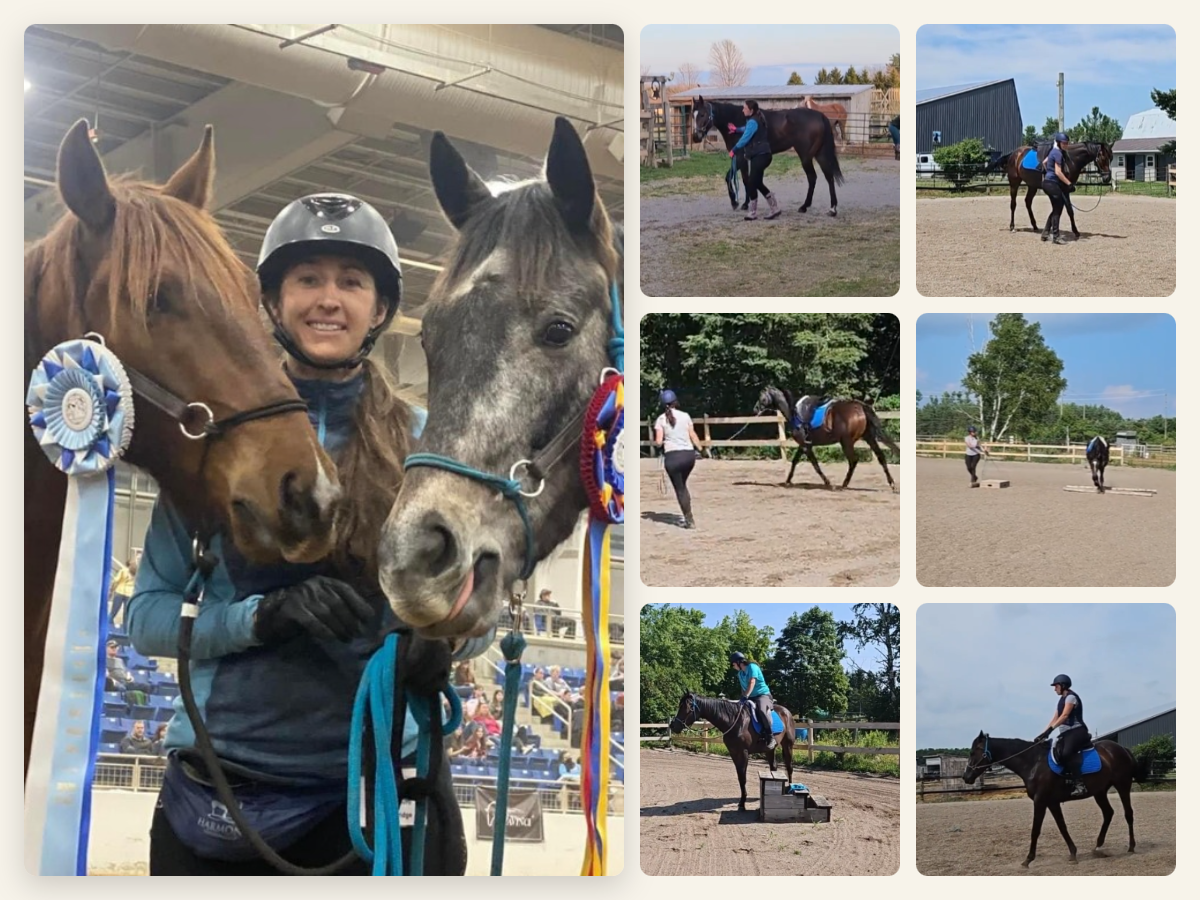 Product image for From Track to Trust: Restarting Thoroughbreds the Makeover Champion Way