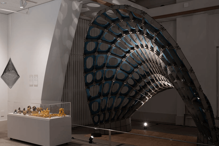 Godzilla: From Form-Finding to a Built Gridshell