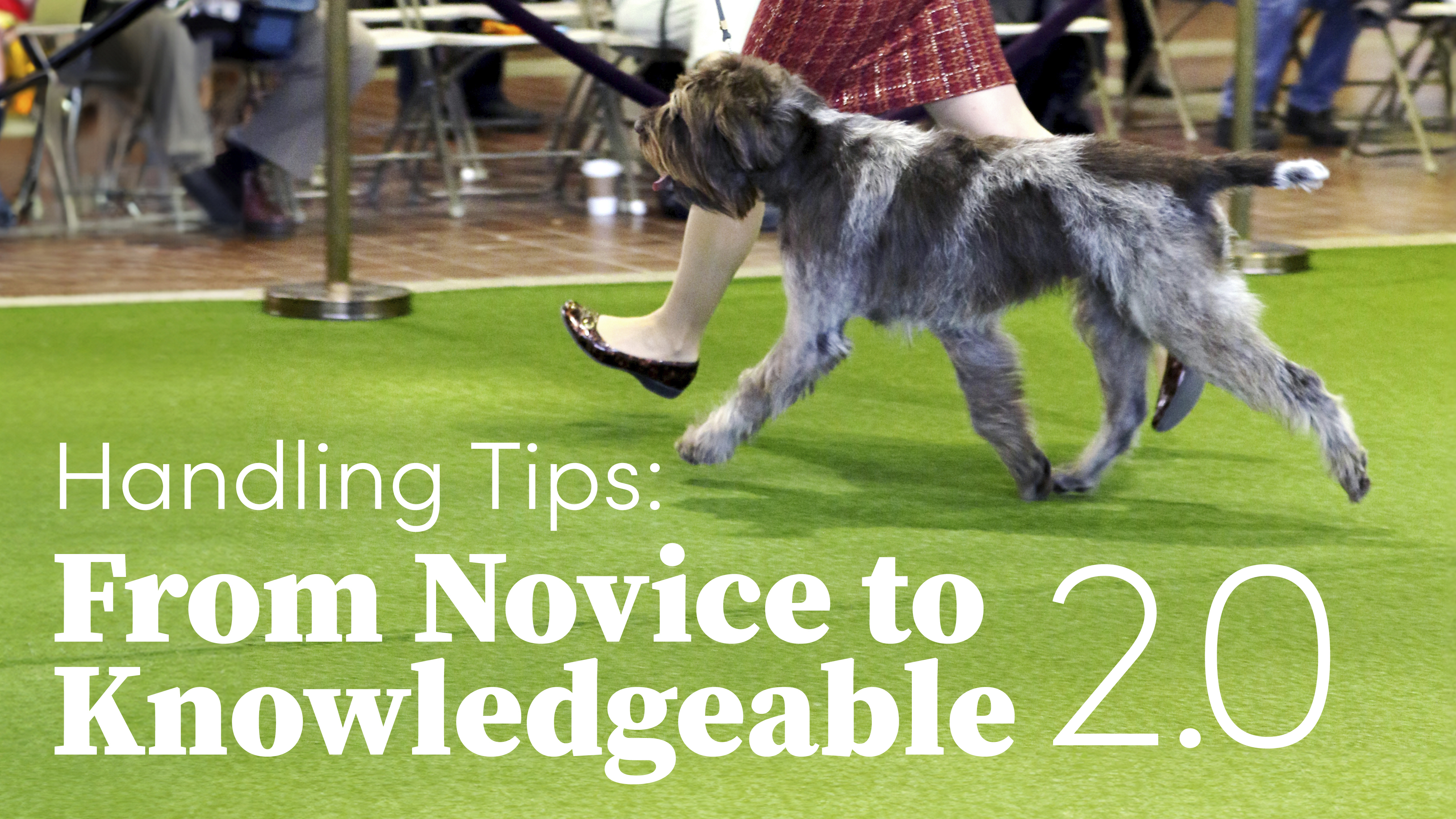 Product image for Handling Tips: From Novice to Knowledgeable 2.0