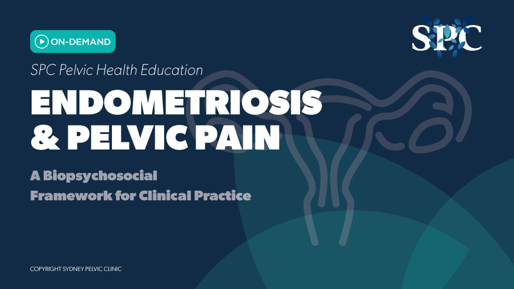 Product image for Endometriosis & Pelvic Pain: A Biopsychosocial Framework for Clinical Practice