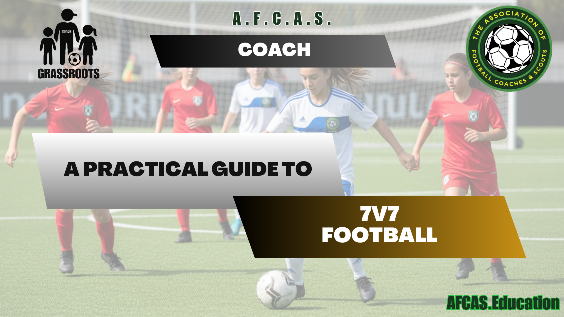 Product image for The Grassroots Coaches Guide to 7v7