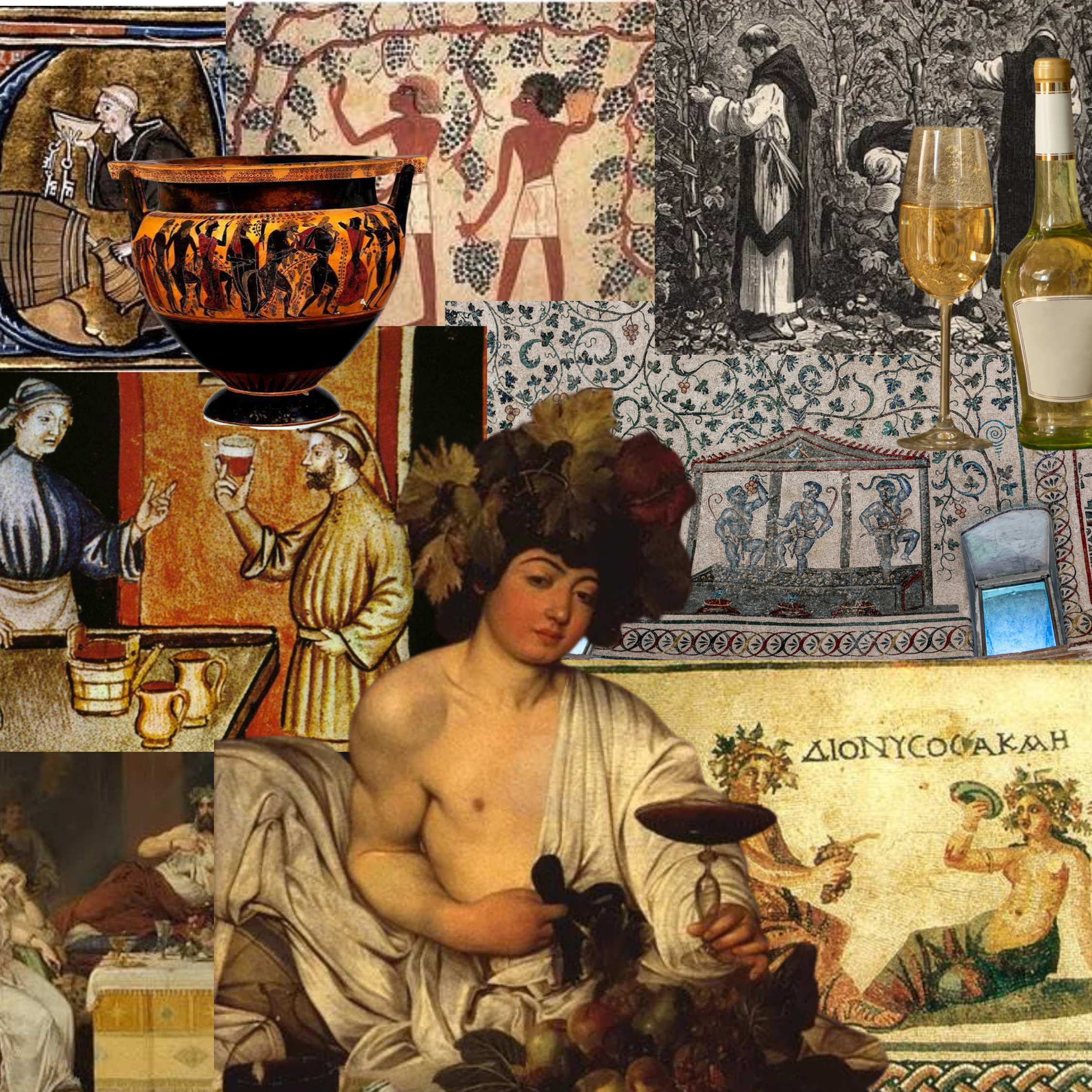 Product image for "Tracing the Origins of Wine: A Story as Old as Time"
