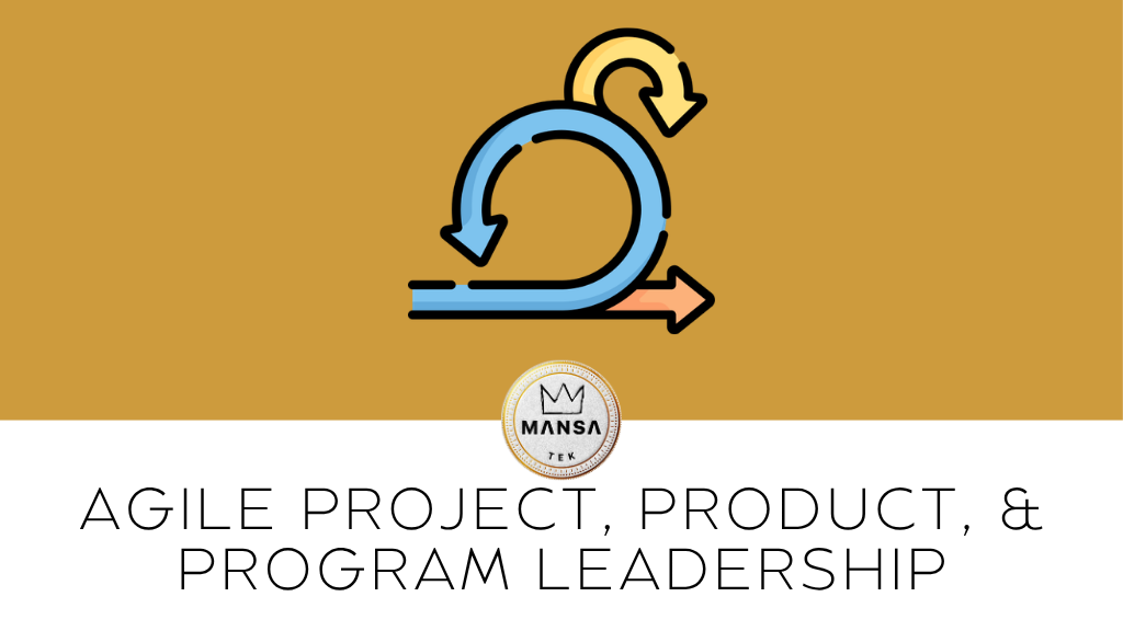 Product image for AGILE PROJECT, PRODUCT, & PROGRAM LEADERSHIP