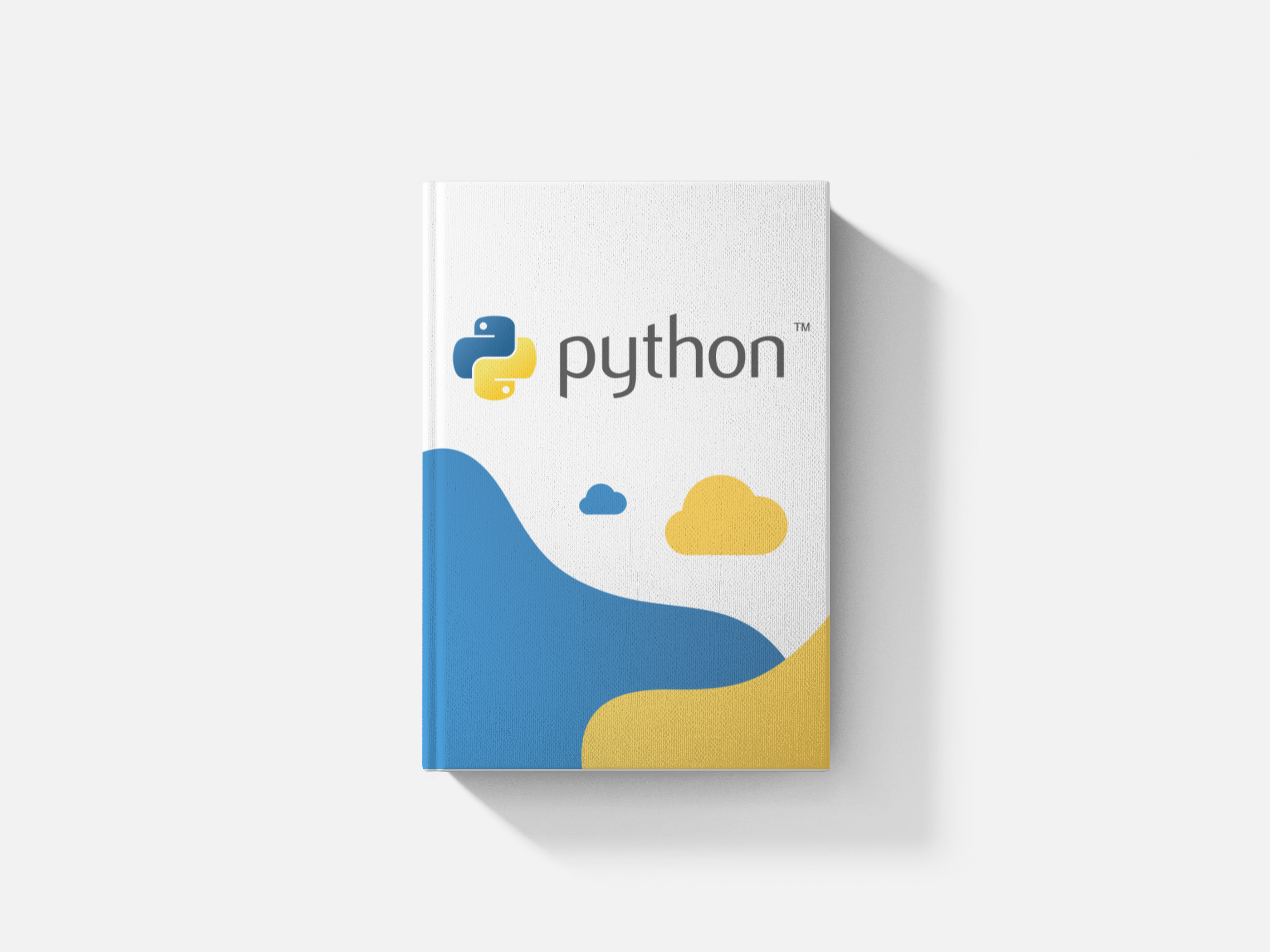 Product image for Python: Writing More Maintainable Code 