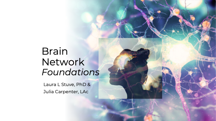 Product image for Brain Network Foundations - August 2026