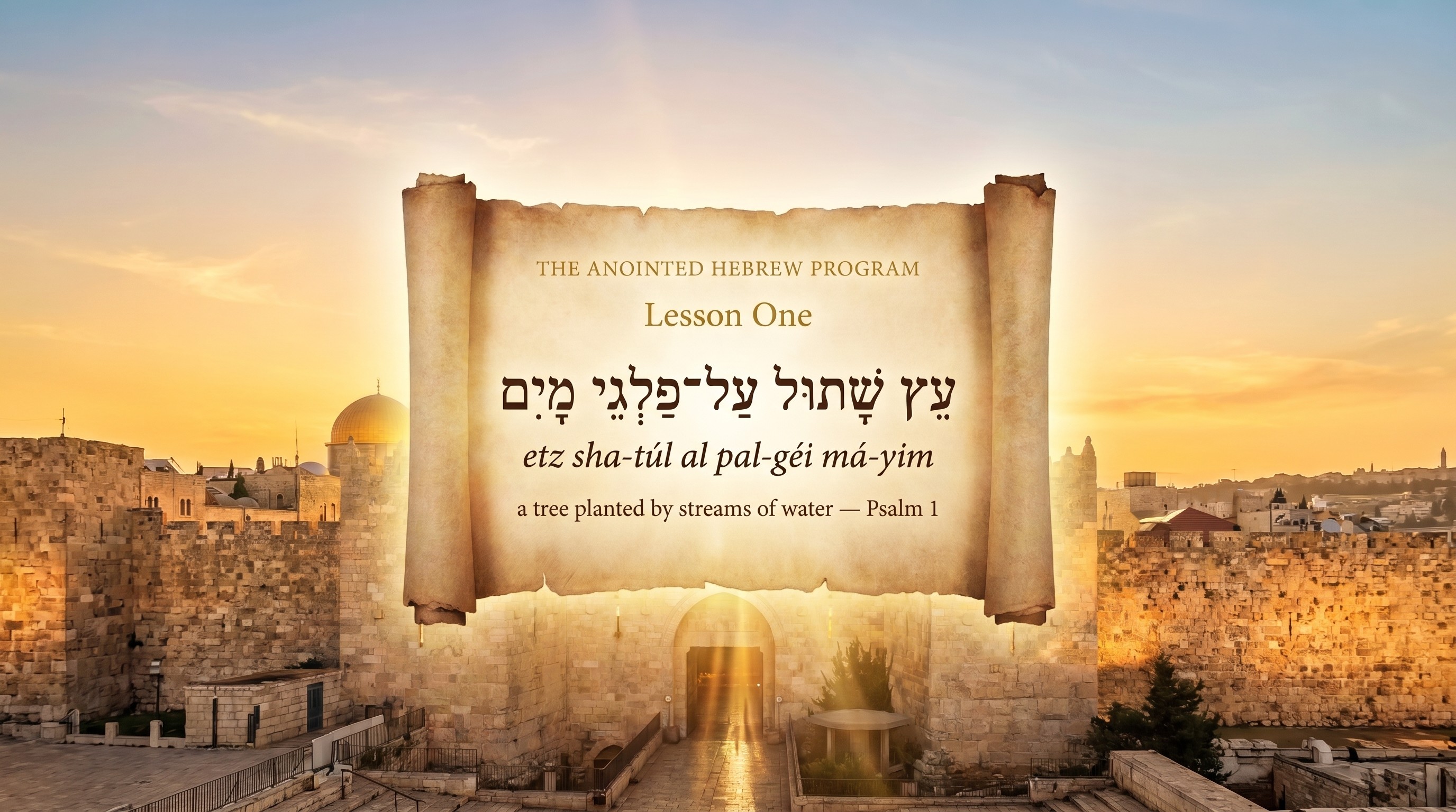 Product image for The Anointed Hebrew Program