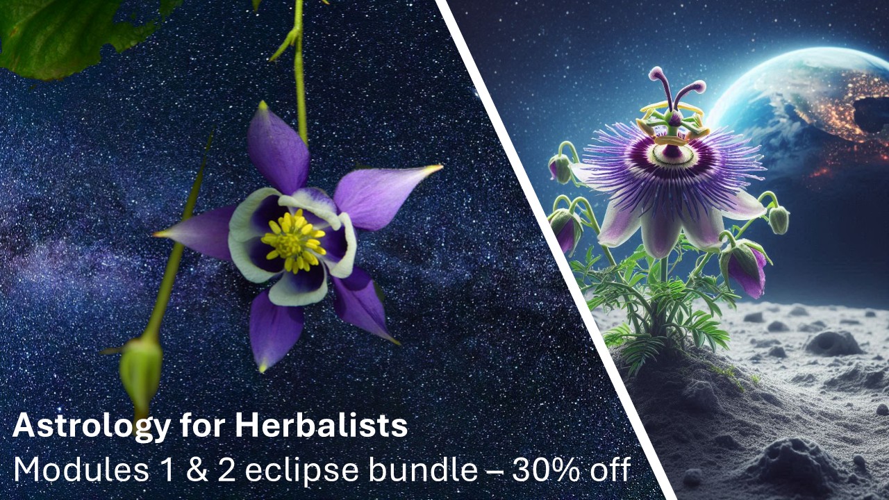 Product image for Astrology for Herbalists - Modules 1 and 2