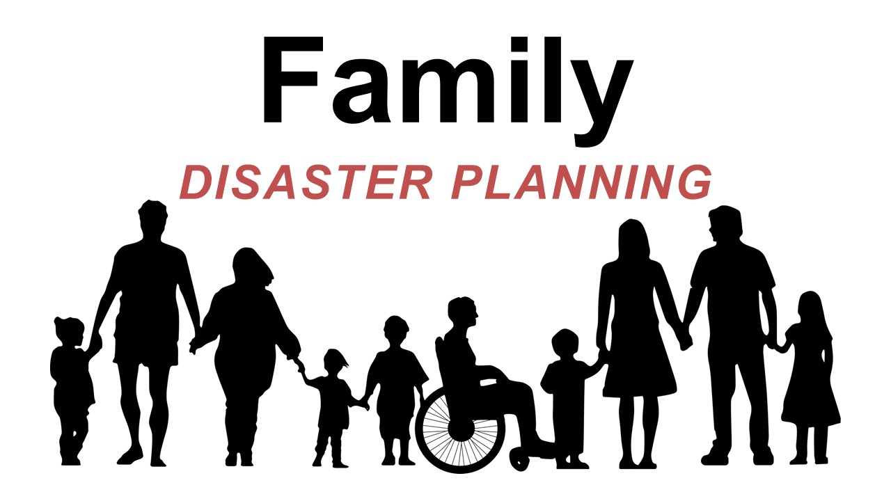 Product image for Disaster Preparedness for Families