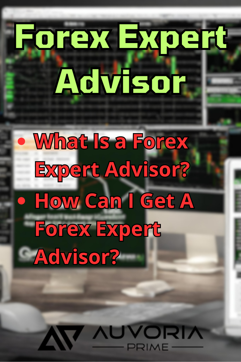 Forex Expert Advisor