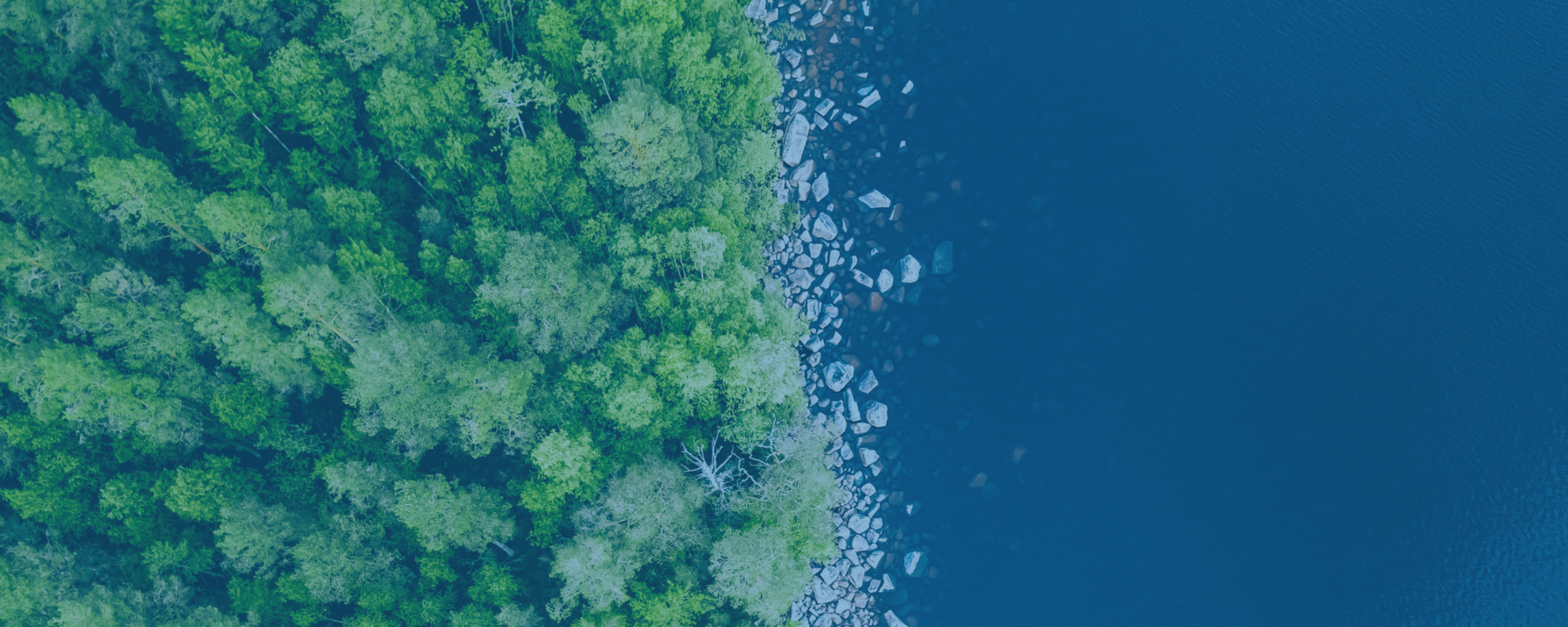 Lyme Disease: An Ounce of Prevention