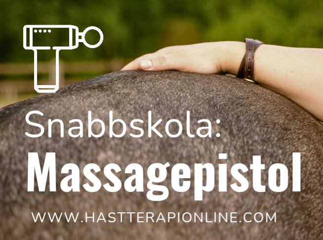 Product image for Plus Modul 3: Massagepistolskola Minikurs