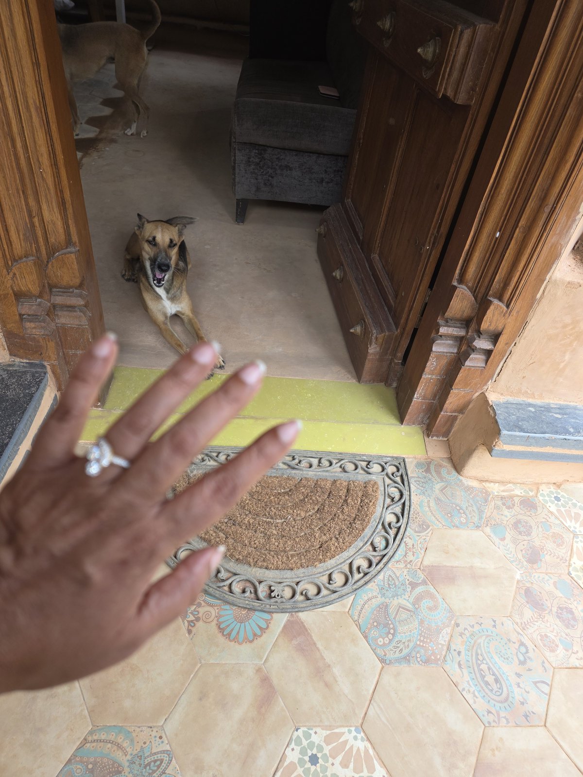 An open palm held out to a dog lying in a doorway