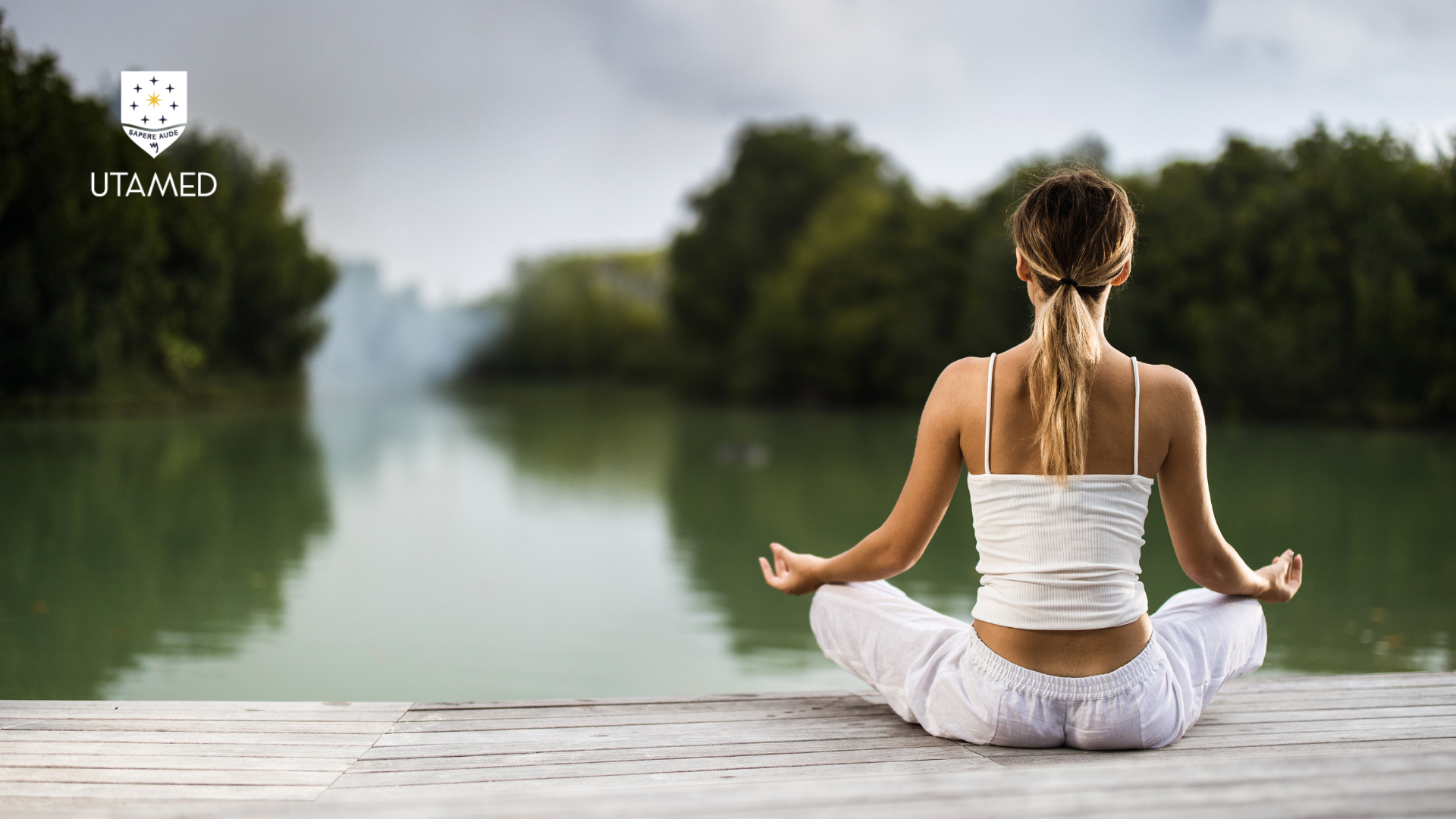 Imagen de producto para Curso de Mindfulness y Terapias de Tercera Generación