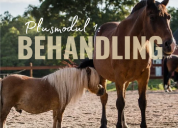 Product image for Plus Modul 1: Behandlingar & Fallstudier