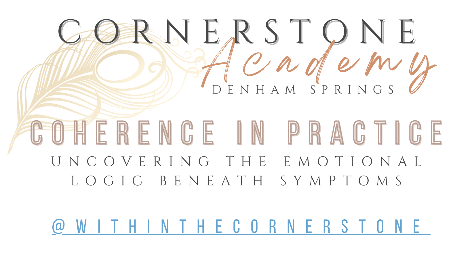 Product image for REPLAY Coherence in Practice: Uncovering the Emotional Logic Beneath Symptoms