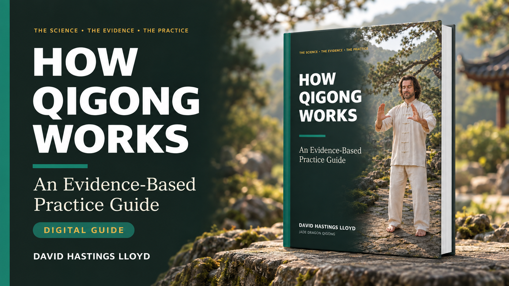 Product image for How Qigong Works: An Evidence-Based Practice Guide