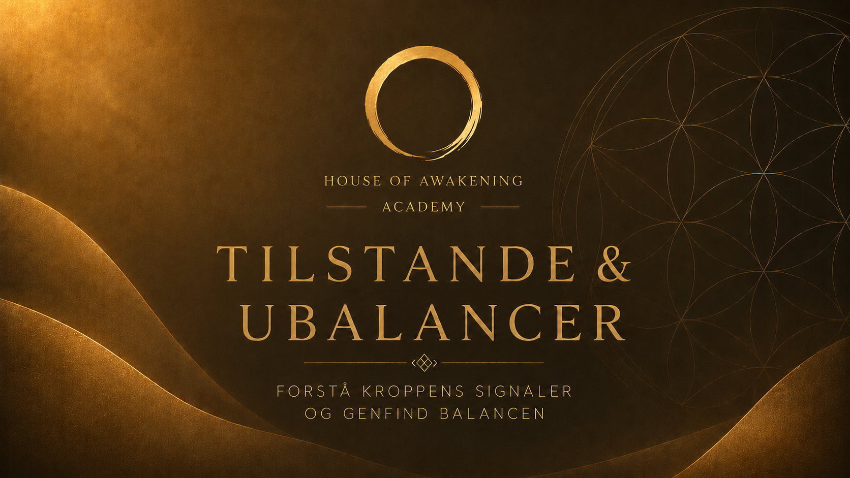 Product image for Tilstande & Ubalancer