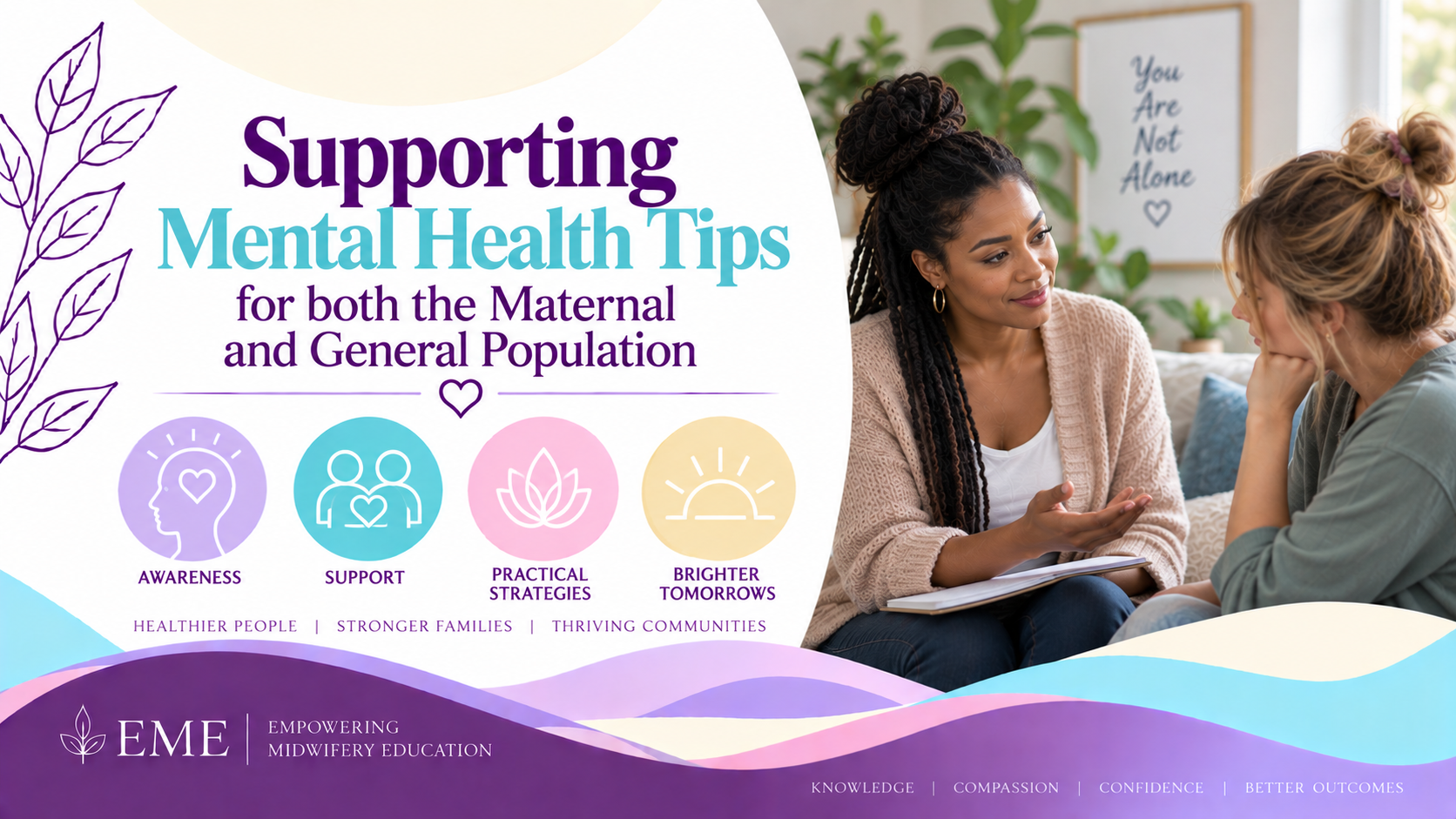 Product image for Mental Health Support for both the Maternal and General Population