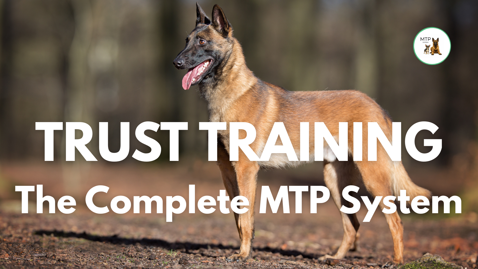Product image for TRUST TRAINING: The Complete MTP System