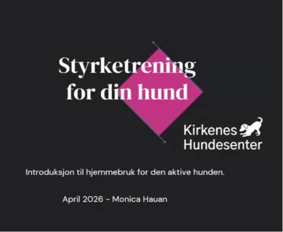 Product image for Intro til styrketrening for hund