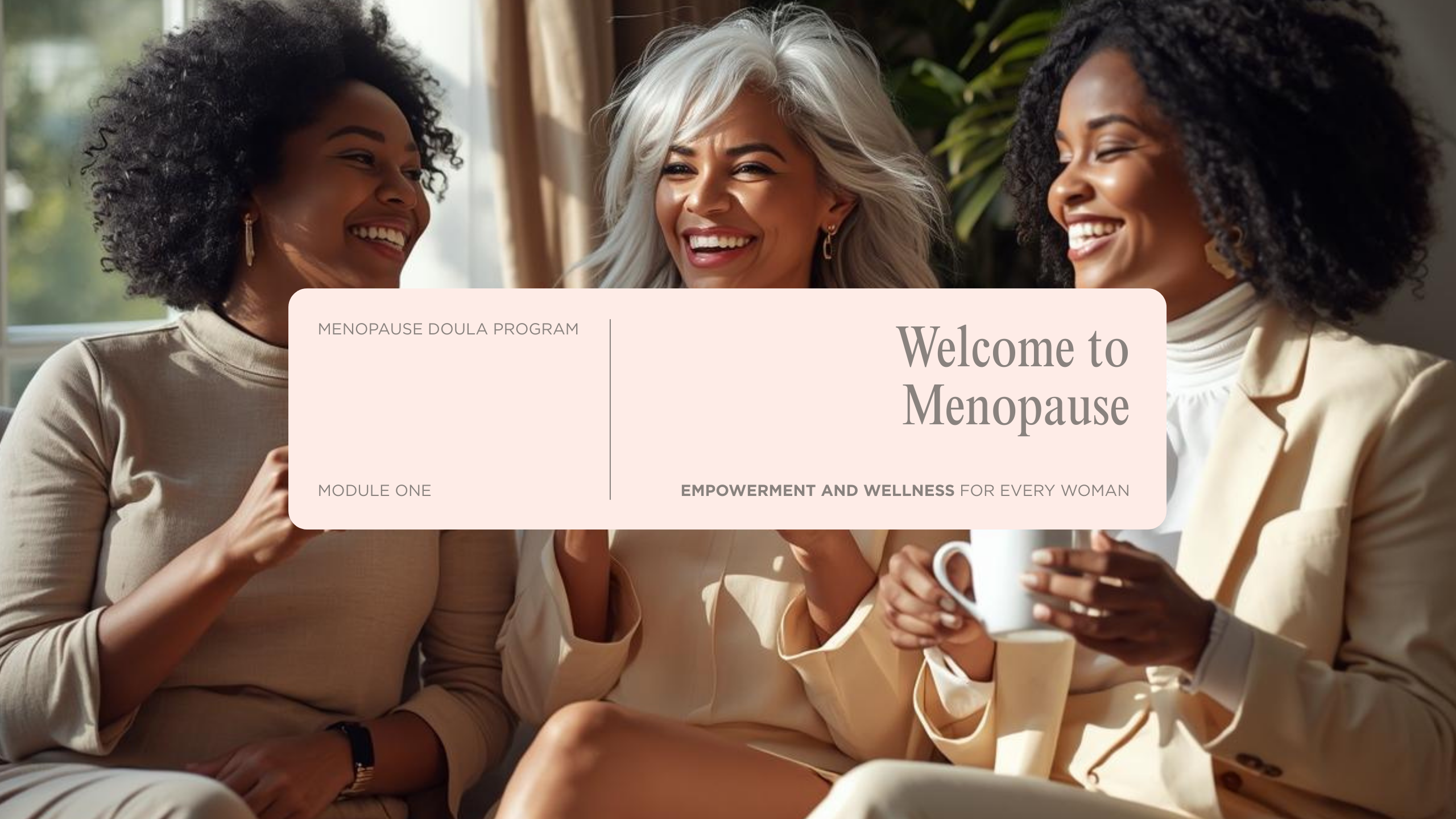 Product image for Menopause Support Practitioner Program