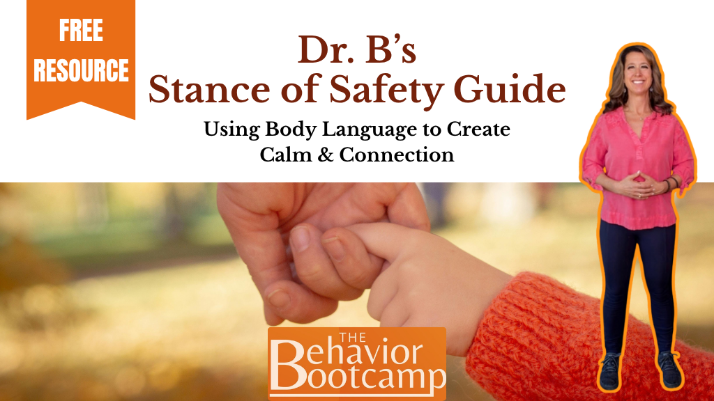 Product image for Dr. B's Stance of Safety Guide