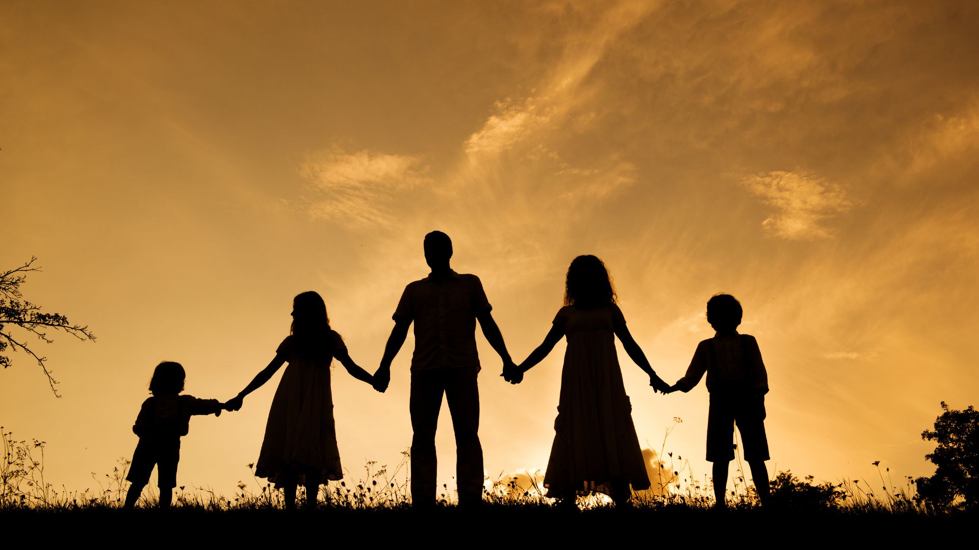 Product image for Supporting Families Through Perinatal Loss: Lived Experience, Emotional Well-Being, and Systems Improvements