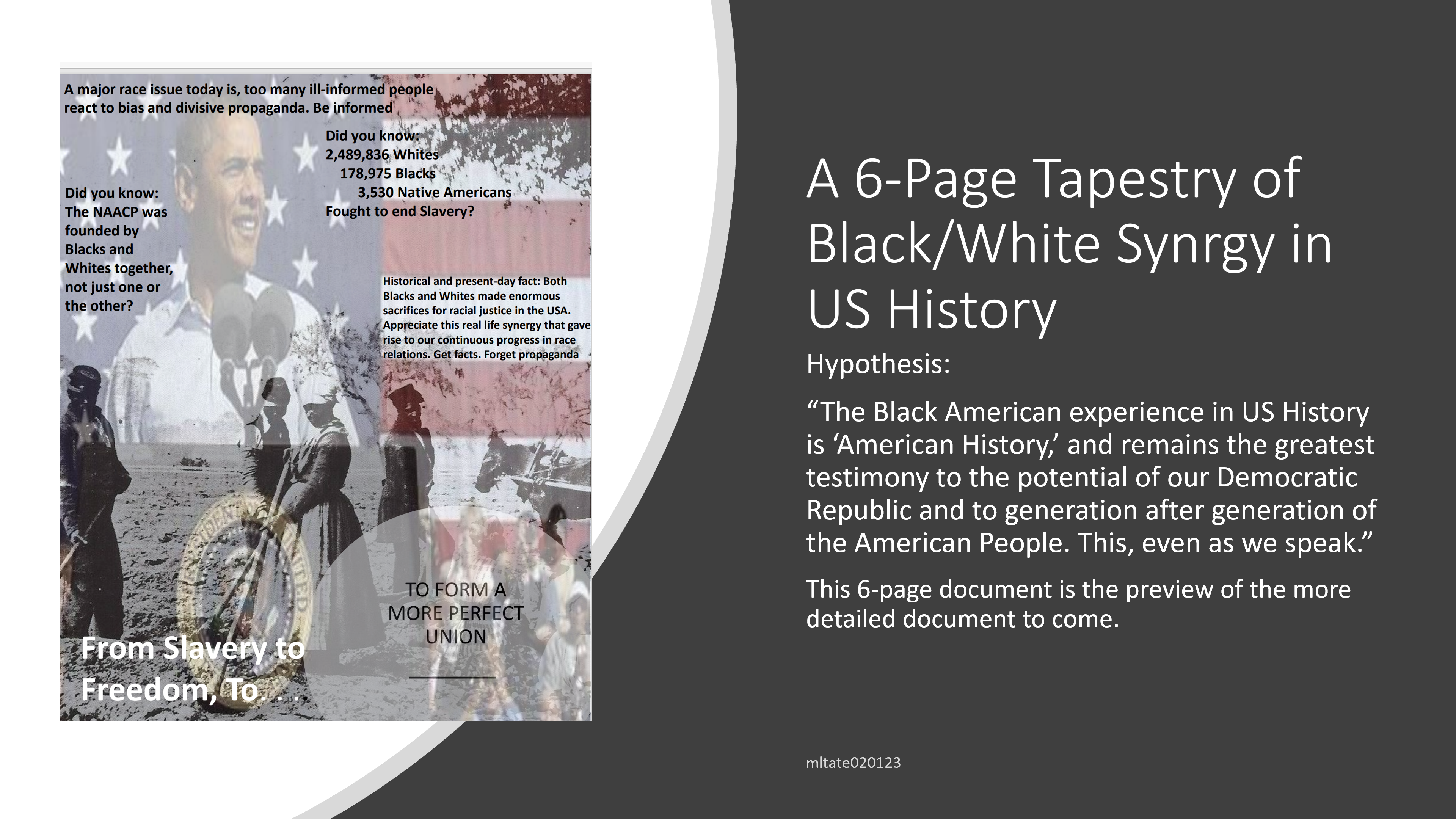 Product image for A Tapestry of Black/White Synrgy In USA History 6-pages (Plus, Critical Thinking Skills)