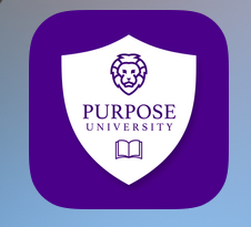 Product image for PUR 501: Finding Your Purpose in 15 Minutes