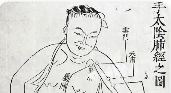 Product image for Tangible Acupuncture for Internal Medicine 2027 Registration Information
