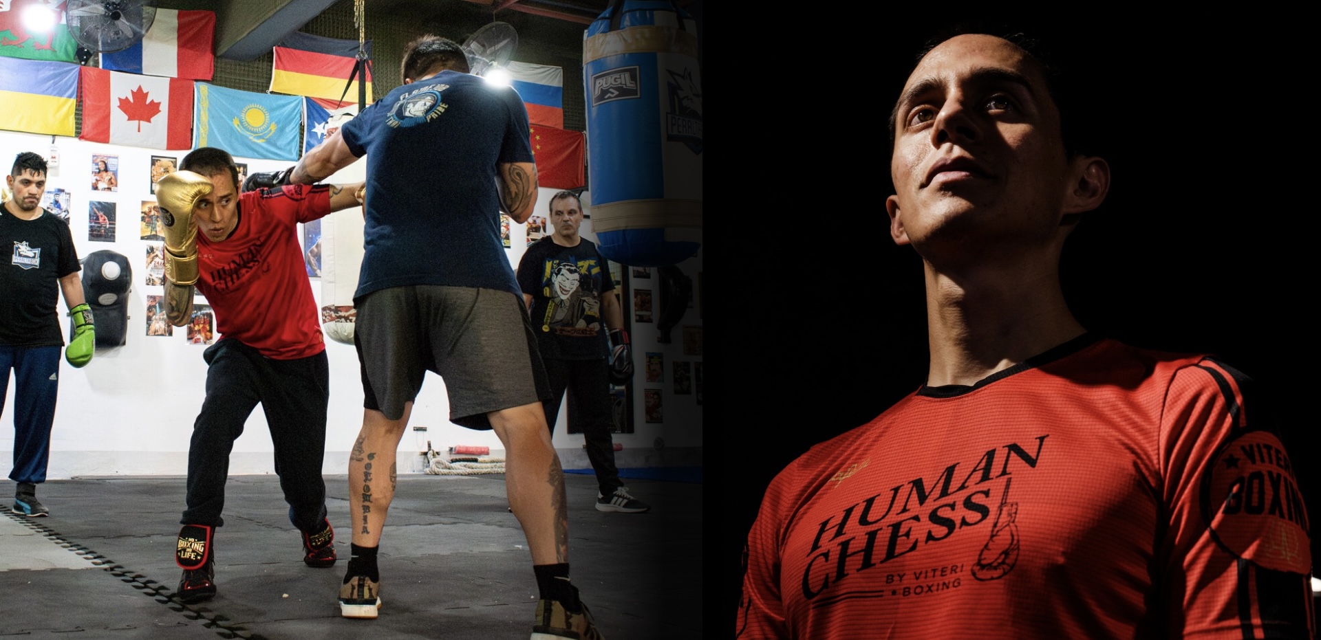 Imagen de producto para Suscripción Viteri Boxing