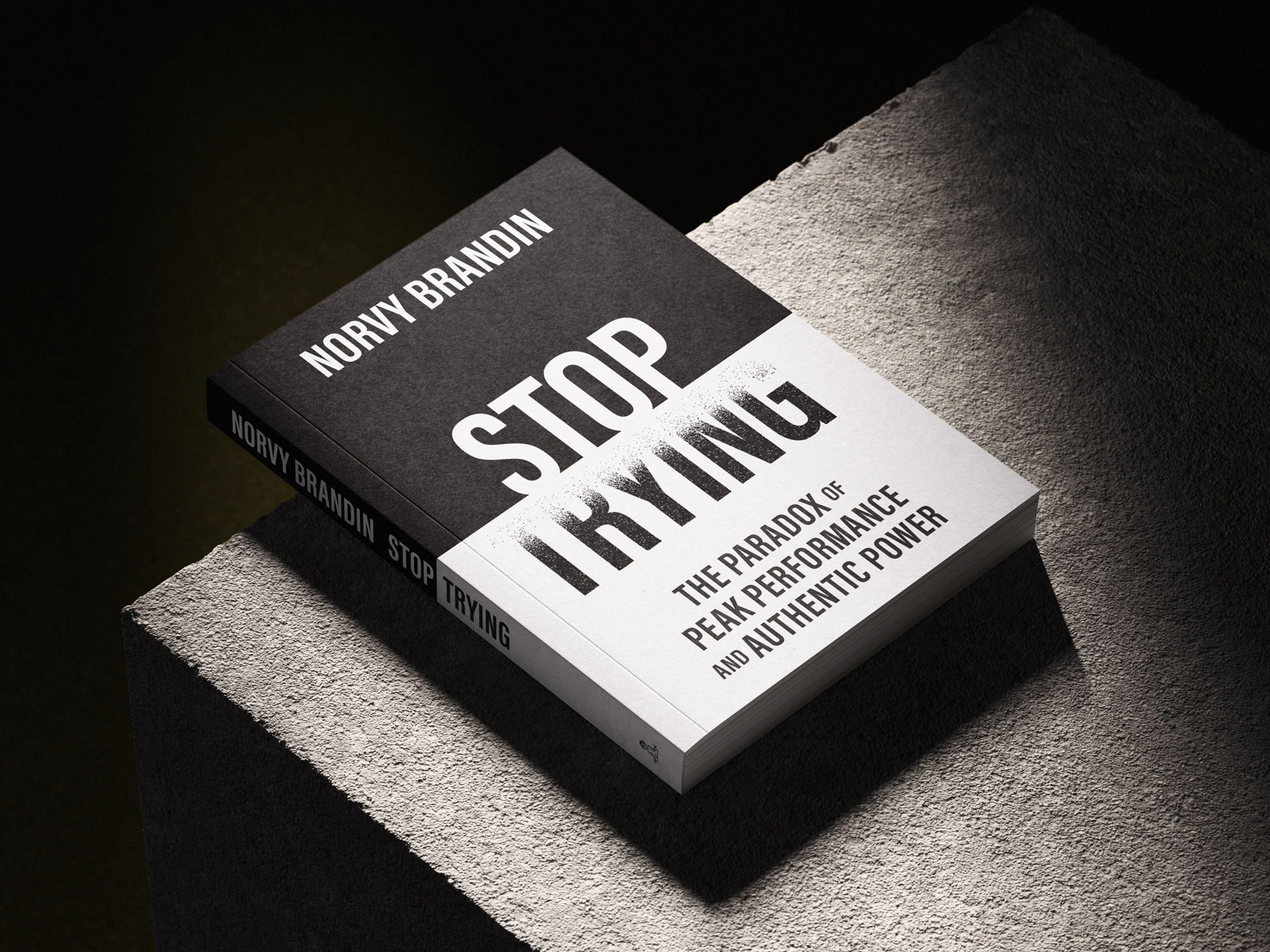 Product image for Stop Trying: The Paradox of Peak Performance A 12-lesson audio course with Norvy Brandin