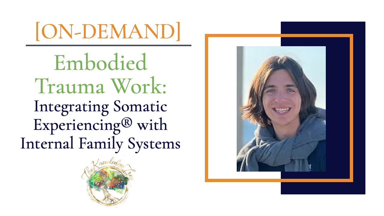 Embodied Trauma Work: Integrating Somatic Experiencing® with Internal Family Systems On-Demand CE Webinar for therapists, counselors, psychologists, social workers, marriage and family therapists