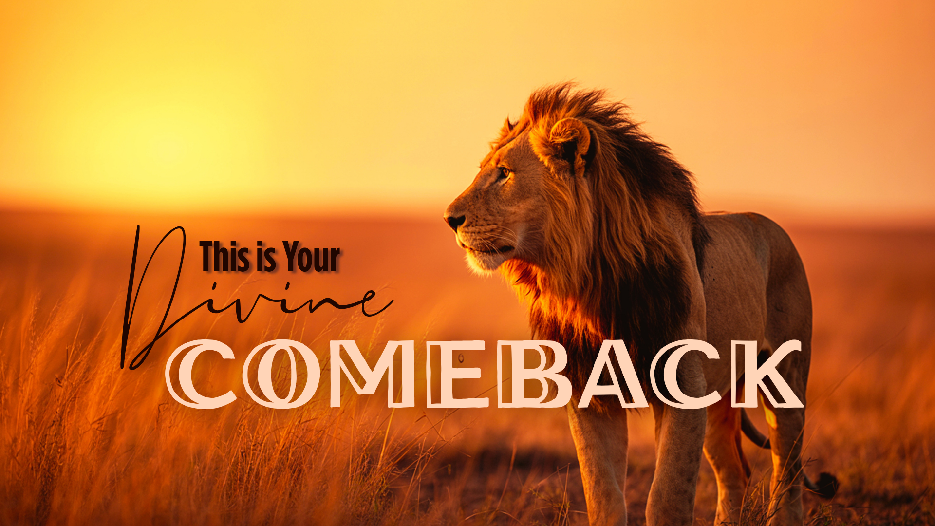 Product image for THIS IS YOUR DIVINE COMEBACK!