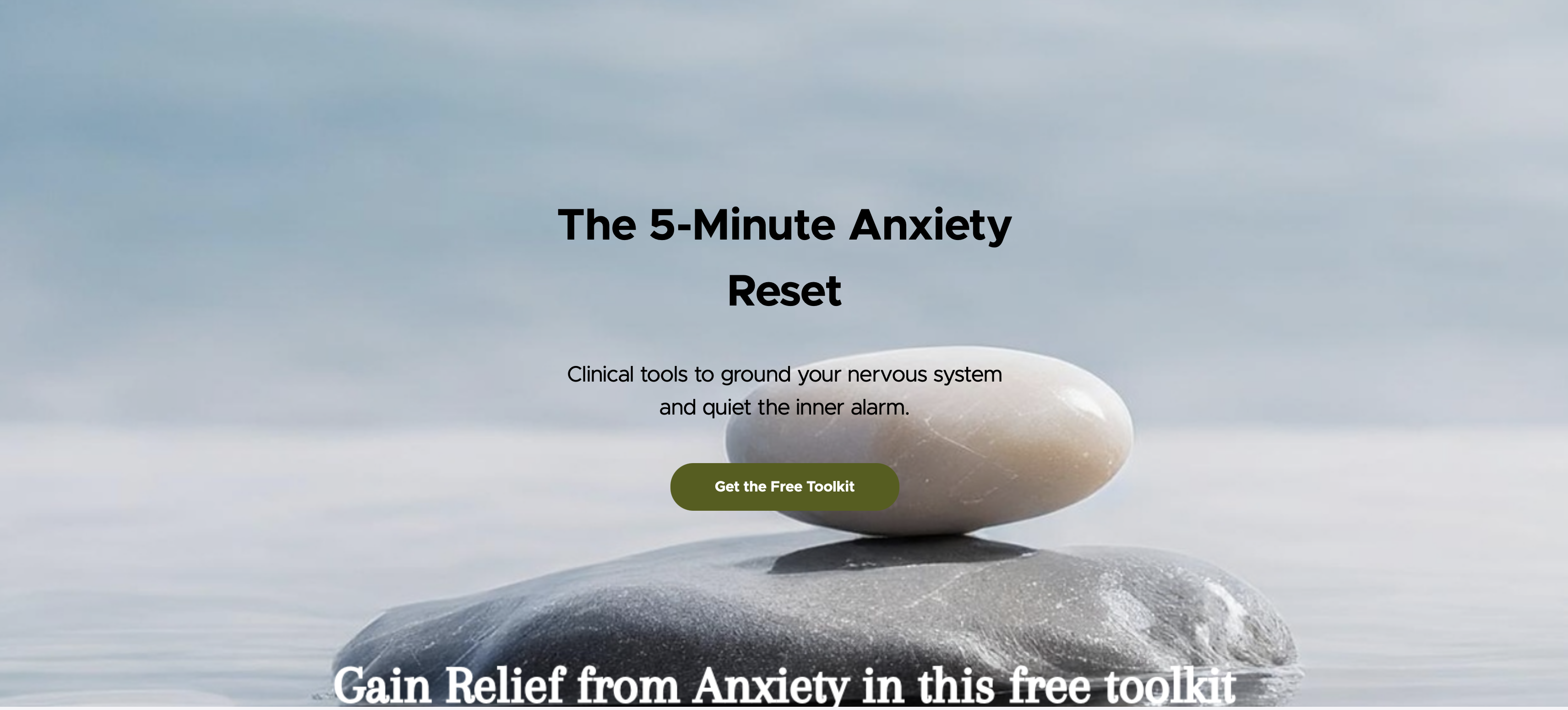Product image for The 5-Minute Anxiety Reset Toolkit: A Clinical Guide to Calm