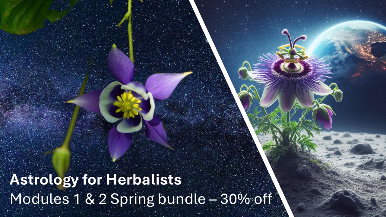 Product image for Astrology for Herbalists - Modules 1 and 2