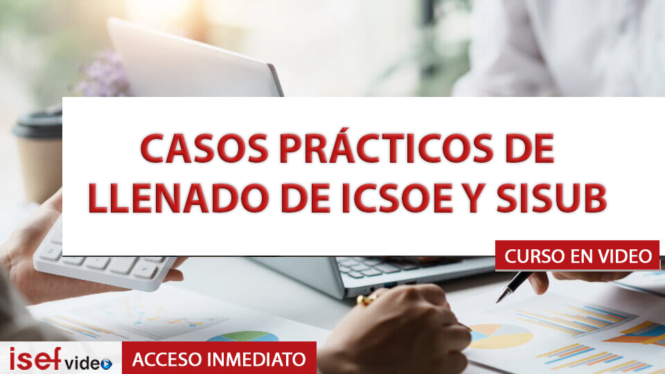 Imagen de producto para CASOS PRÁCTICOS DE LLENADO DE ICSOE Y SISUB