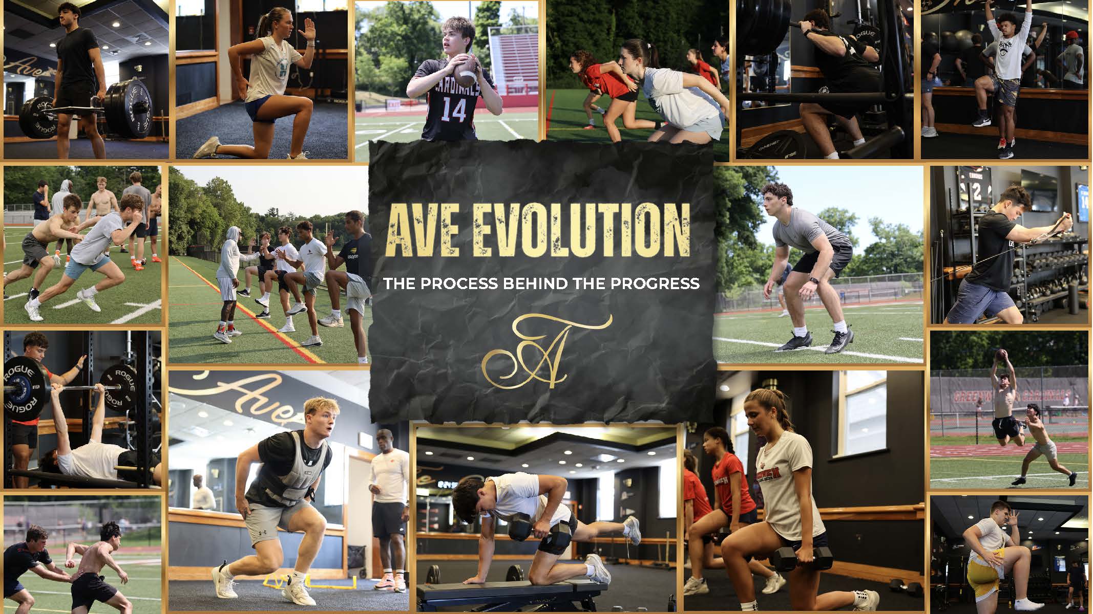Product image for Ave Evolution - 12 Week Program