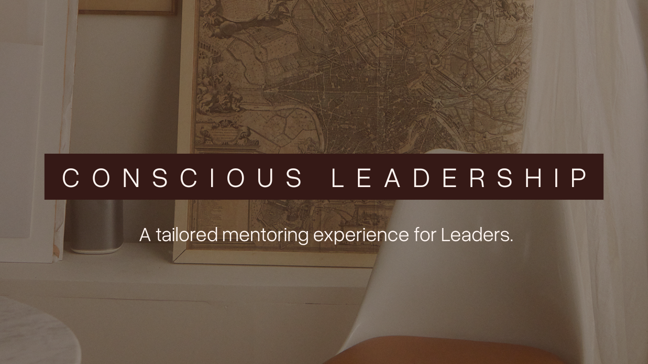 Product image for One on One Mentoring for Leaders