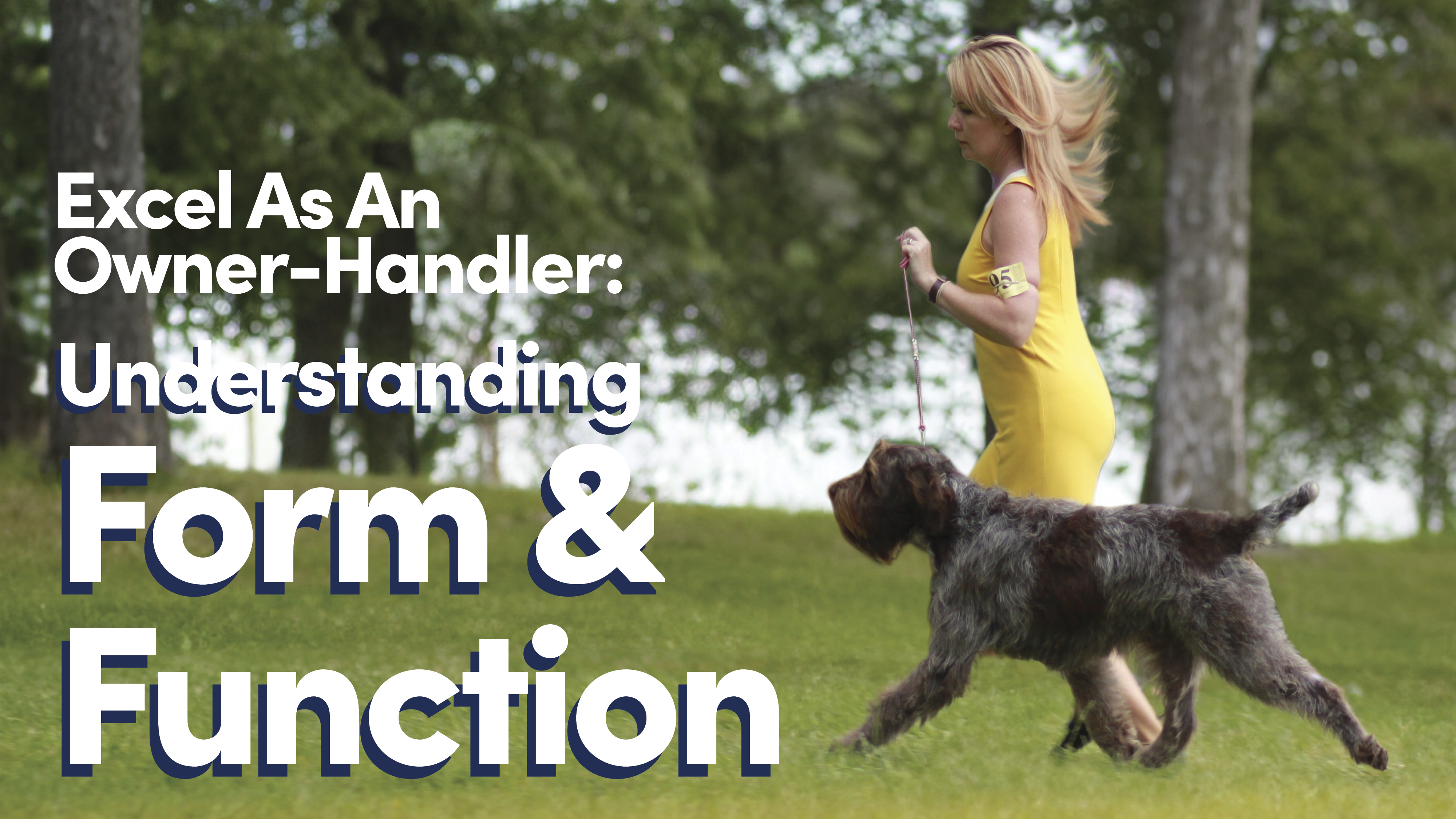 Understanding Form and Function | Excel as an Owner-Handler | Leading