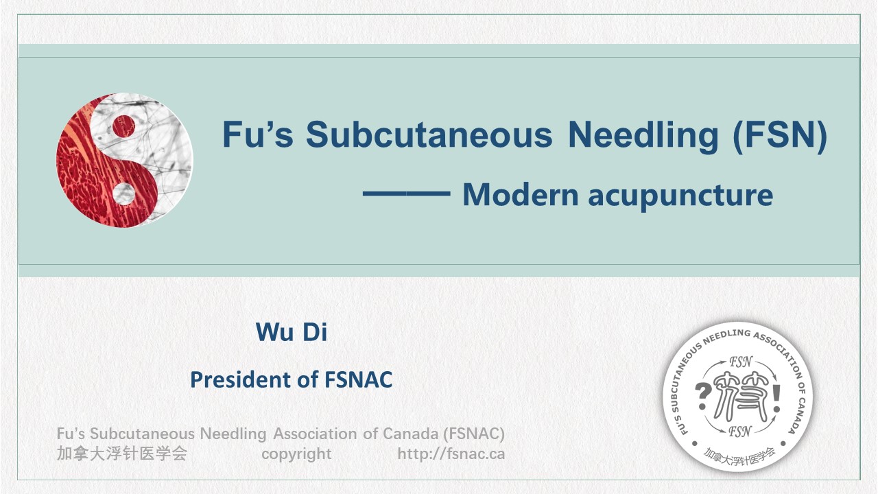 Product image for Fu's Subcutaneous Needling (FSN) Acupuncture